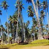 Ко Куд Баунти — Ao Prao и Cabana — фото 18